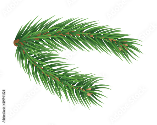 Fluffy fir tree brunch isolated on white background. Merry Christmas and Happy New Year decoration. Green fir tree branch vector illustration. Fresh conifer plant detailed 3d rendering element.