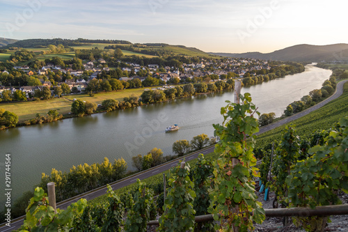 Panoramablick auf das Moseltal mit dem Weinort Brauneberg im Hintergrund an einem sonnigen Herbsttag photo