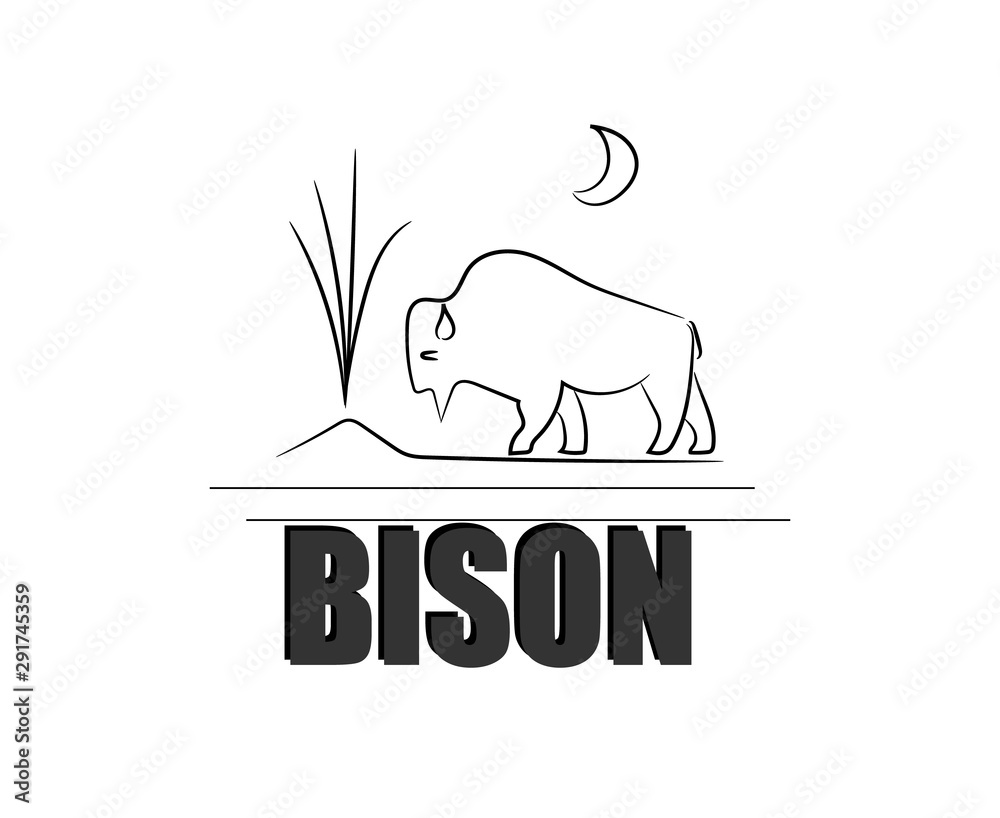 Bison Bison