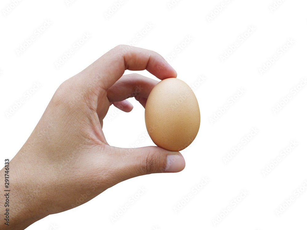 Hand holding egg isolated on white background. Hand holding egg isolated on white background.