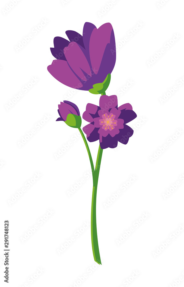 Beautiful flowers design vector illustration