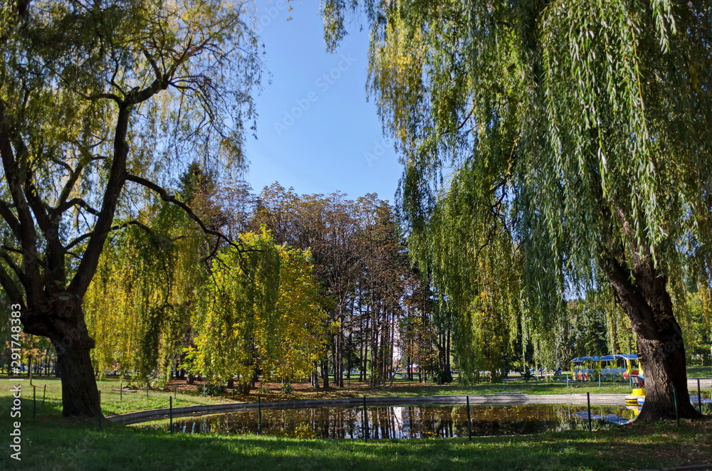 Autumn forest with lake, weeping willow and reflections, South Park, Sofia, Bulgaria 