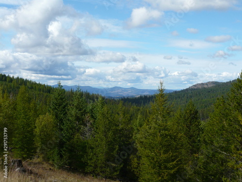 Conifer forest filled valley from hillside broken clouds and far mountains in distance