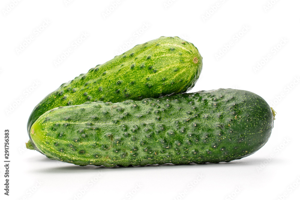 Group of two whole fresh pickling cucumber isolated on white background Group of two whole fresh pickling cucumber isolated on white background