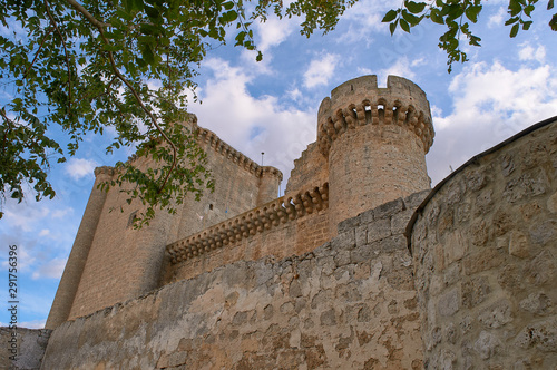 Castillo de Villafuerte de Esgueva, Valladolid / Spain photo