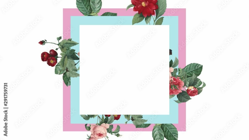 Red flower border graphic on white background Red flower border graphic on white background