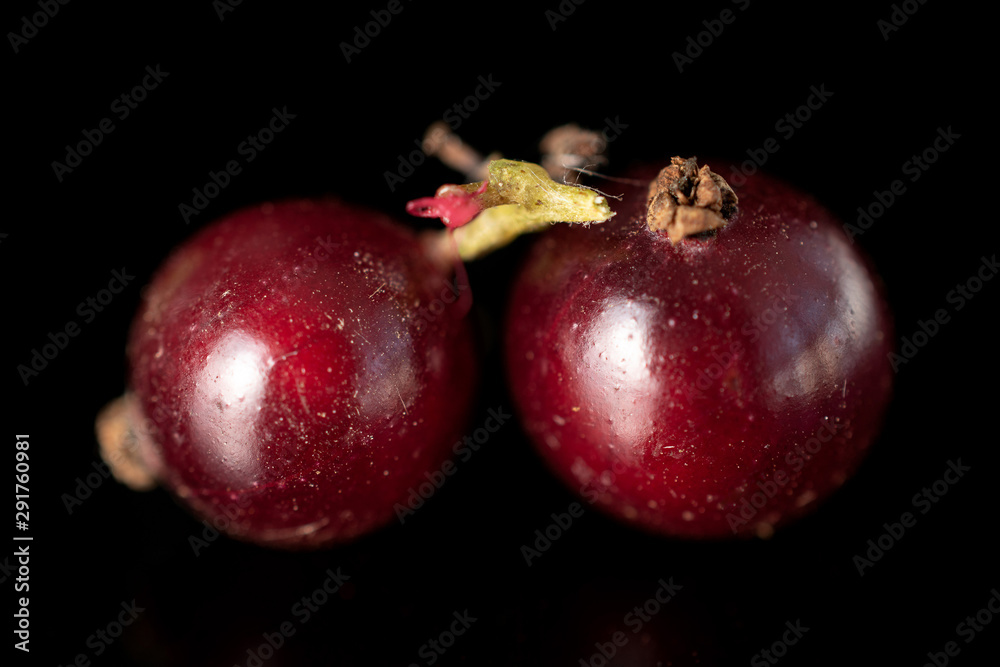 Group of two whole fresh dark redcurrant isolated on black glass Group of two whole fresh dark redcurrant isolated on black glass