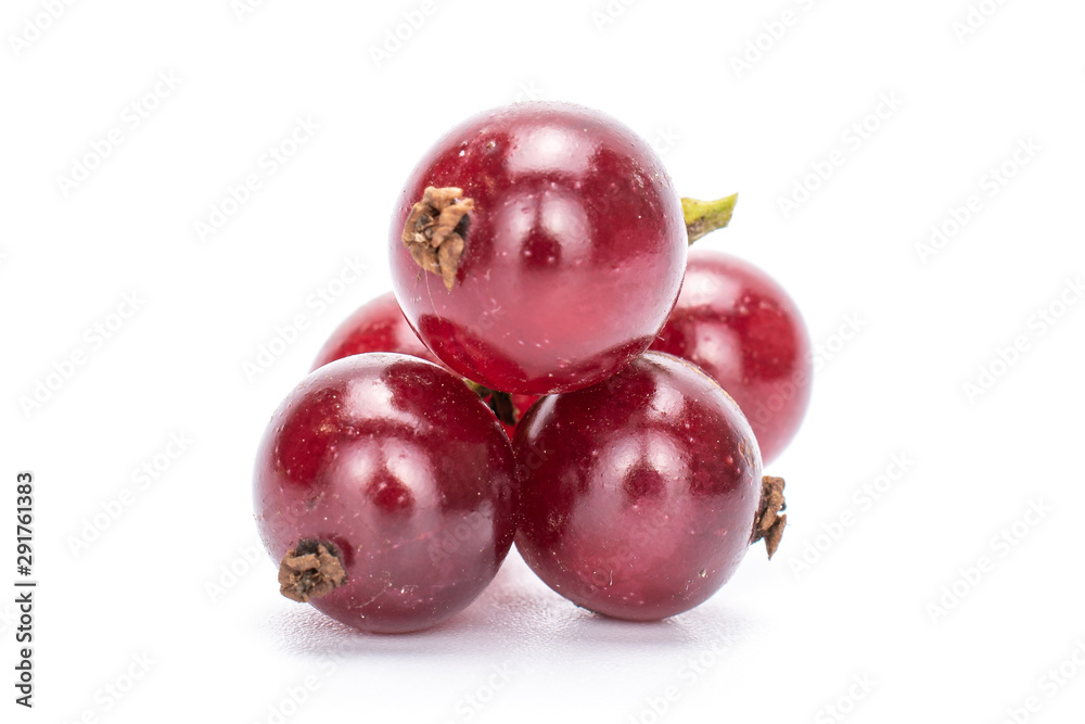 Lot of whole fresh dark redcurrant isolated on white background