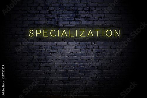 Highlighted brick wall with neon inscription specialization photo