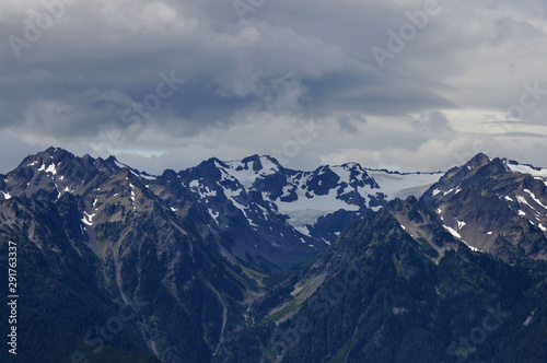 Mountainscape of Hurricane Ridge in Port-angles  © Austyn