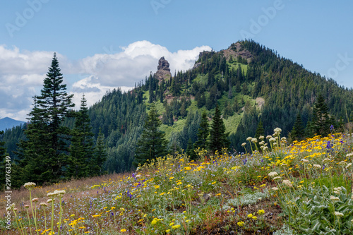 Iron Mountain from Cone Mountain Trail in the Willamette National Forest of Oregon