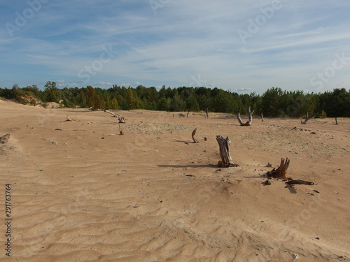 The deserted shore of Lake Peipsi.