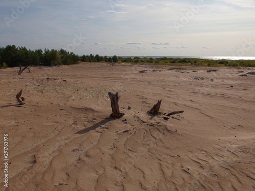 The deserted shore of Lake Peipsi.
