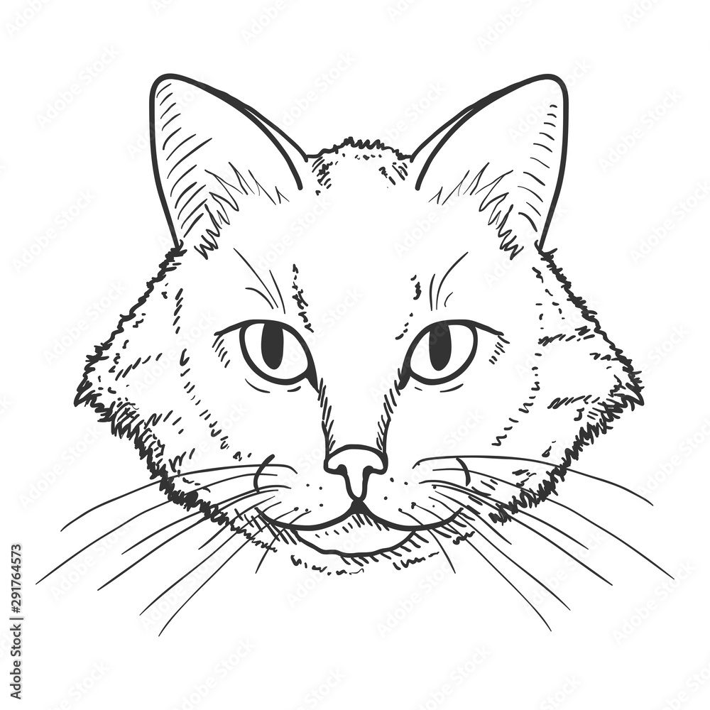 Obraz premium Vector Sketch Domestic Cats Portrait. Feline Face Illustration.