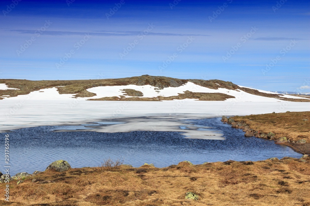 Norway Hardangervidda nature