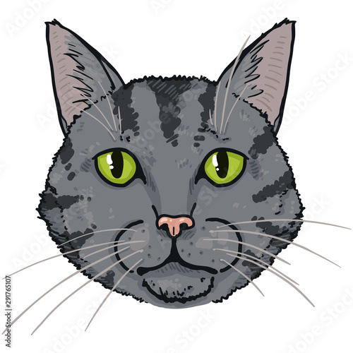 Vector Cartoon Tabby Cat Portrait. Feline Face Illustration.