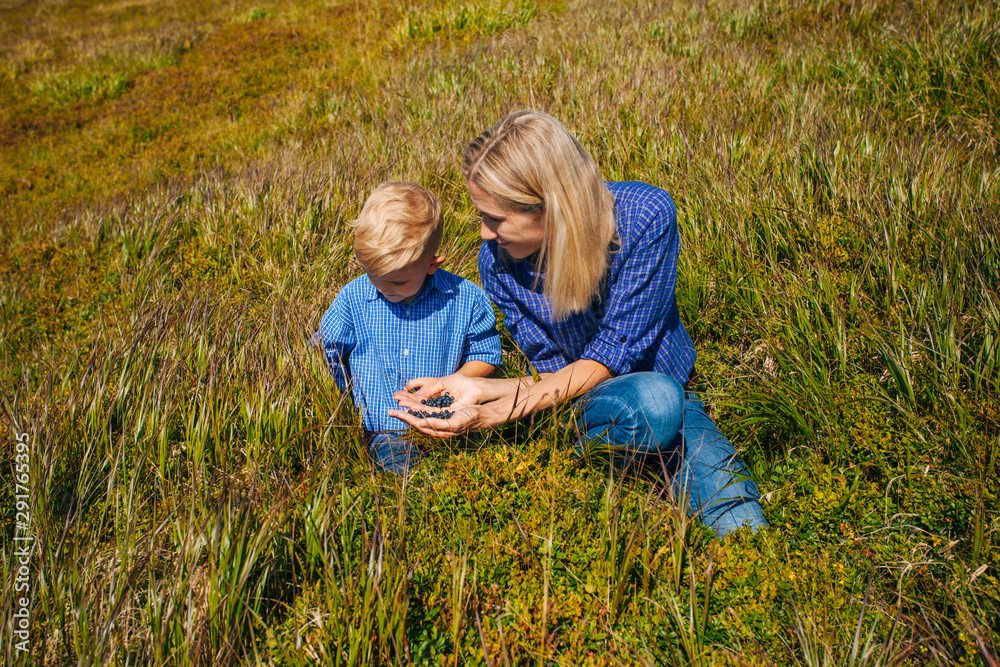 Fototapeta premium The family tastes wild berries in the mountains
