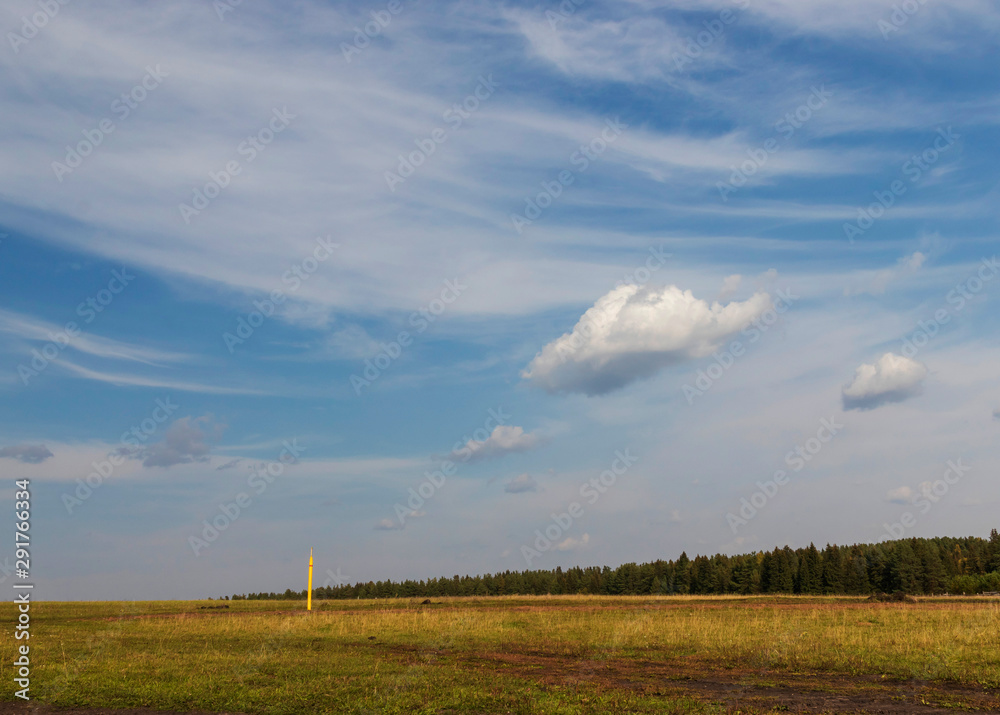 Obraz premium landscape with wheat field and blue sky