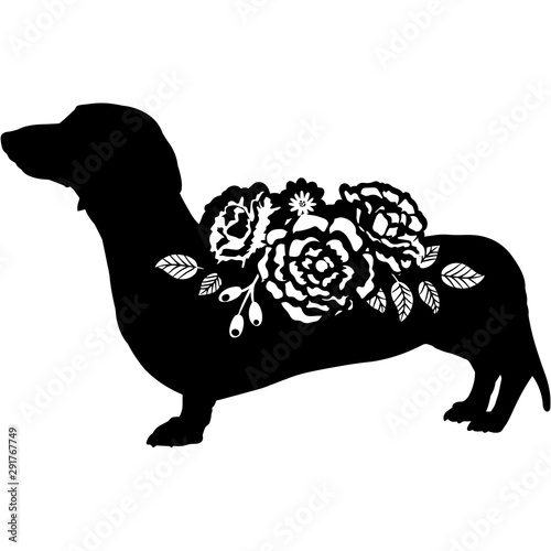 Dachshund Dog Silhouette Vector