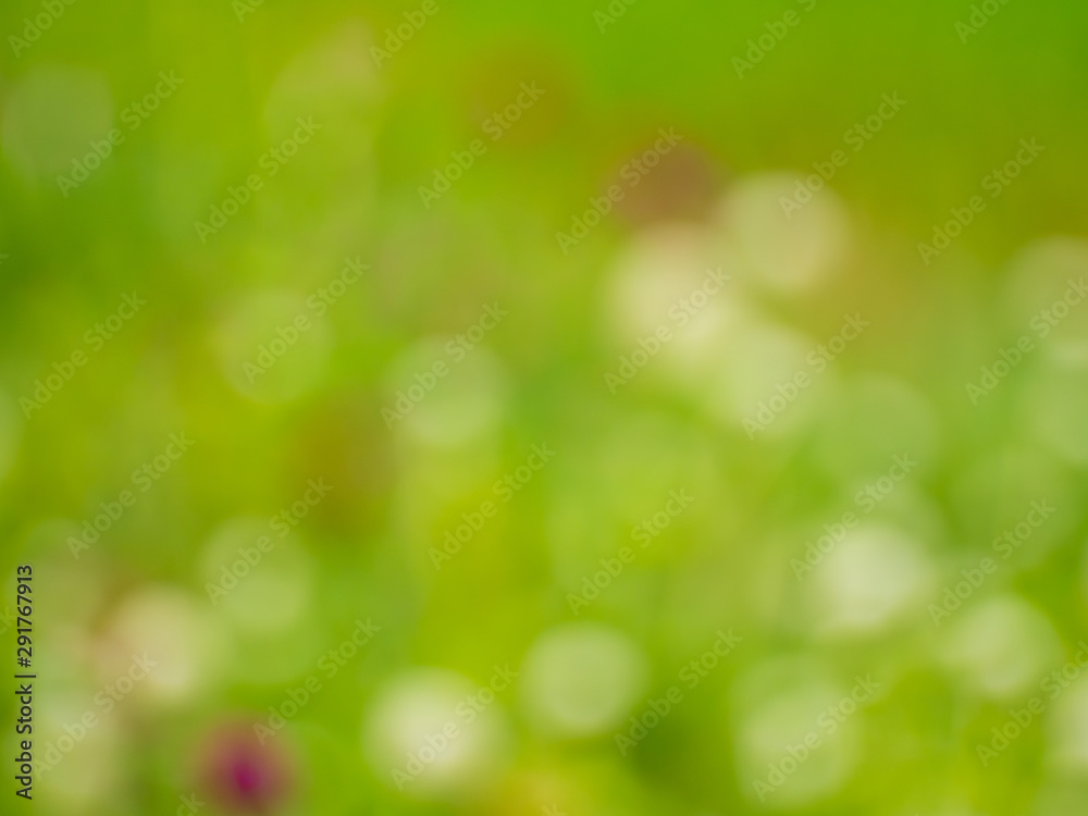 Abstract green nature backdrop