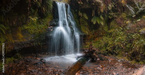 Fototapeta Naklejka Na Ścianę i Meble -  waterfall in the forest in autumn