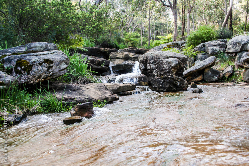 Araluen Botanical Park is located in a sheltered valley in the Darling Ranges approximately 30 kilometres south of Perth, Western Australia Araluen Botanical Park is located in a sheltered valley in the Darling Ranges approximately 30 kilometres south of Perth, Western Australia