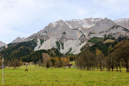 Rural alpine landscape in the alps mountains, Austria