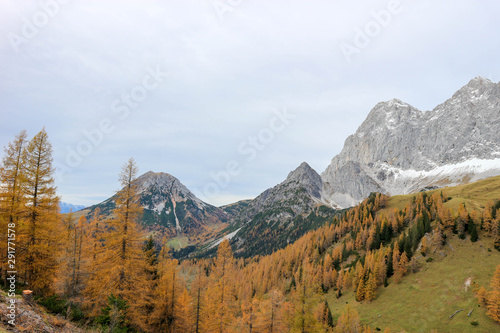 Autumn view of colorful alpine slopes with snowy peaks on the background © Sergei Timofeev