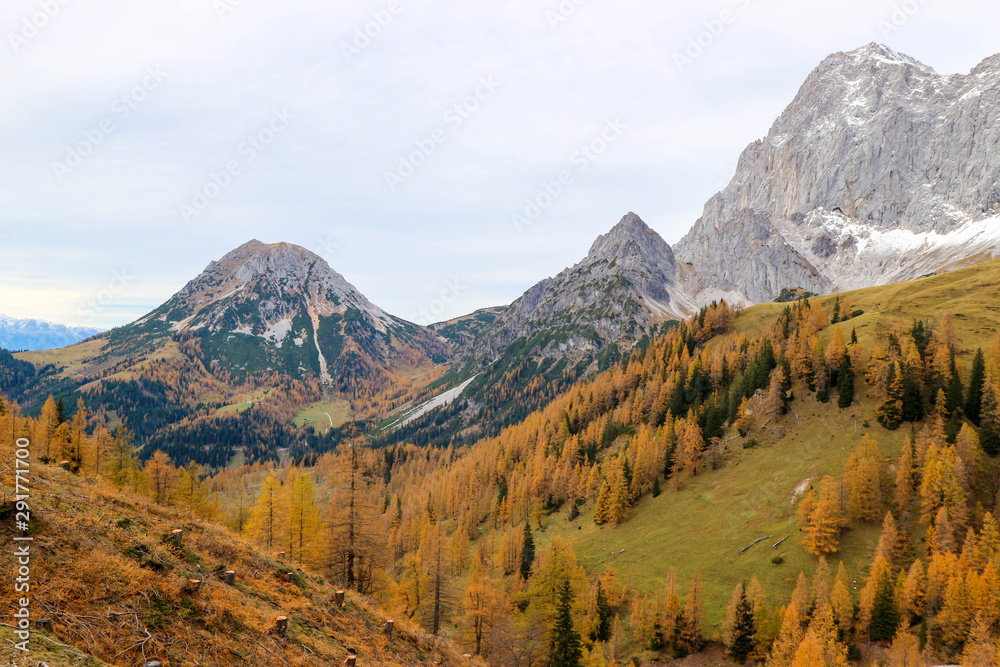 Autumn view of colorful alpine slopes with snowy peaks on the background