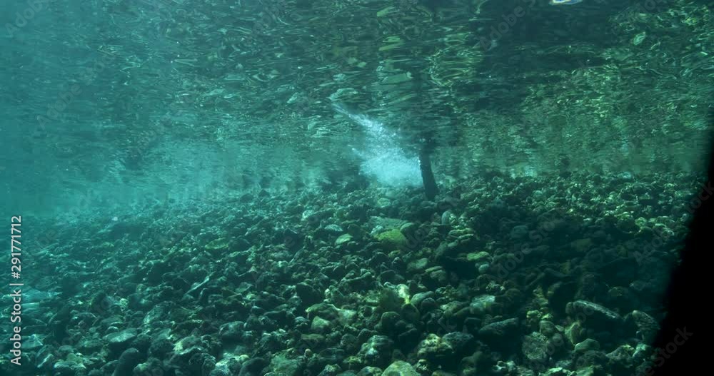 Scuba divers jump into Airport Reef, slow motion Scuba divers jump into Airport Reef, slow motion