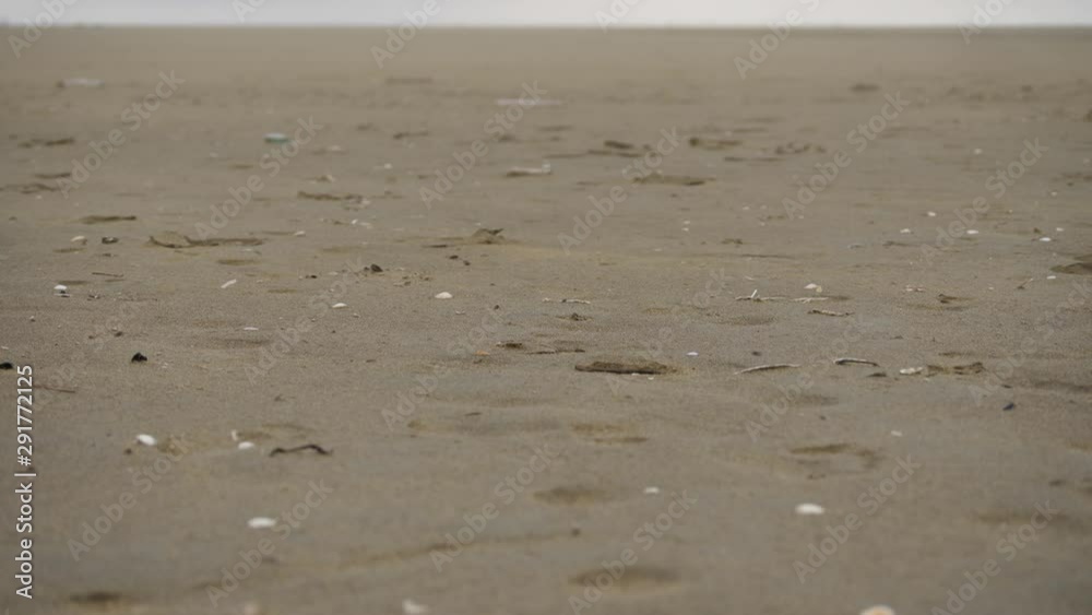 Wind moving sand in UHD resolution Wind moving sand in UHD resolution