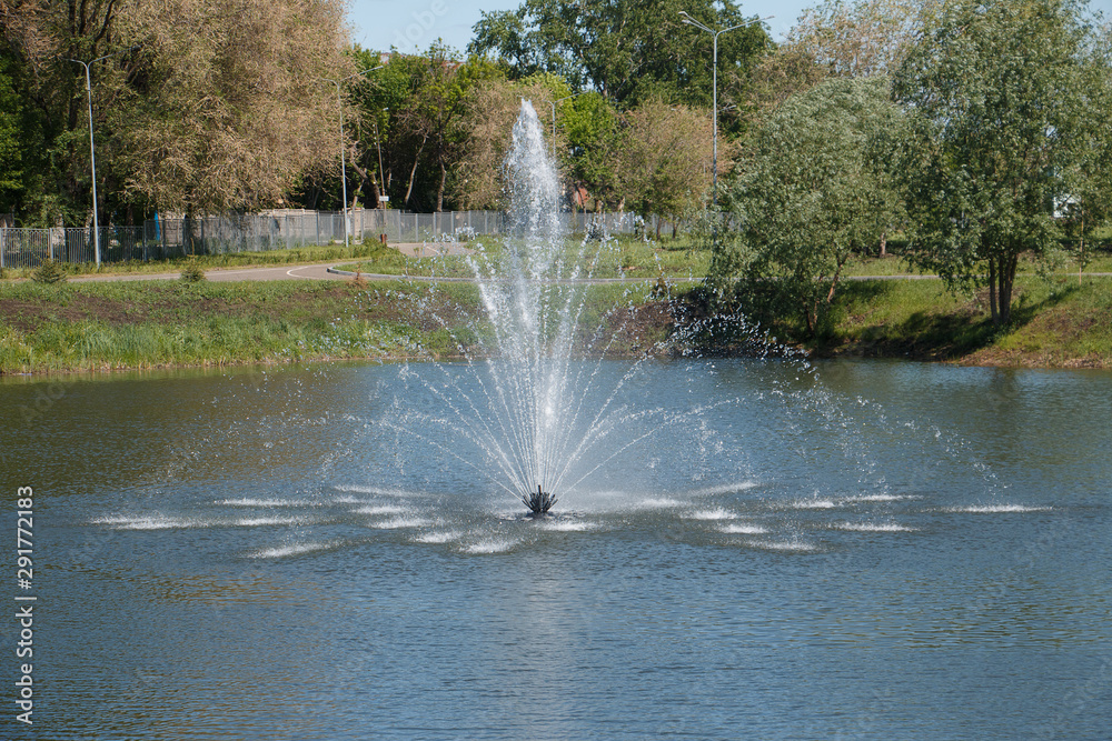 custom made wallpaper toronto digitalfountain in the lake in the country Park