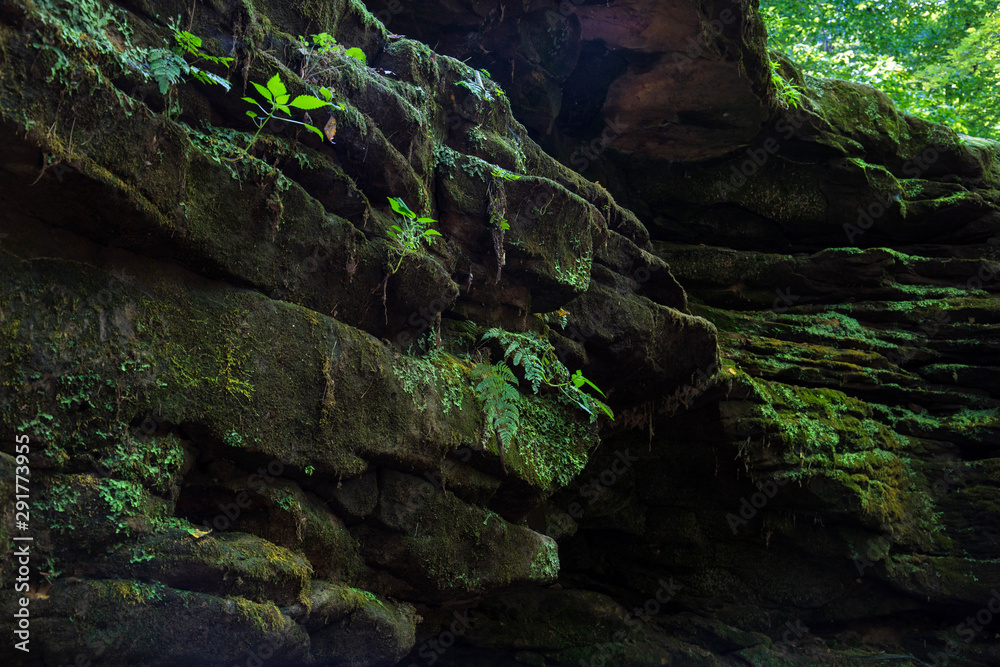 Rock frmation covered with green muss