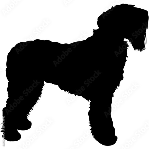 Black Russian Terrier  Silhouette Vector