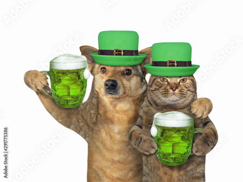 Billede på lærred The cat and dog in green hats with beer celebrate St