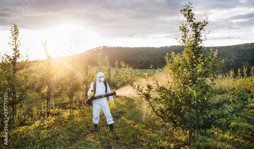 A farmer outdoors in orchard at sunset, using pesticide chemicals.