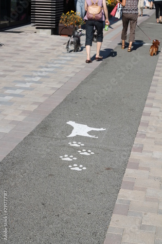 Trottoir à chien au Japon