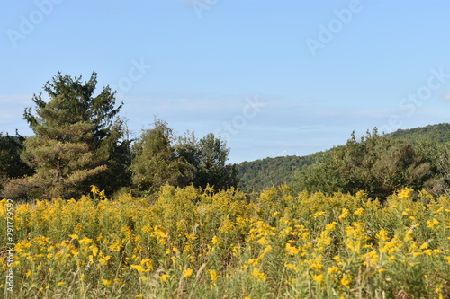 Scenic mountainous areas in Central New York State  around the Finger Lakes region -03