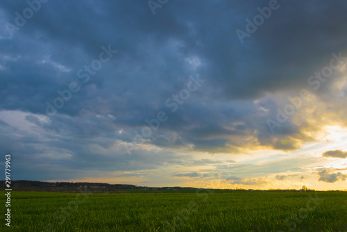 Landscape field of grass in spring, heavy dark clouds, sunset illuminates the yellow horizon