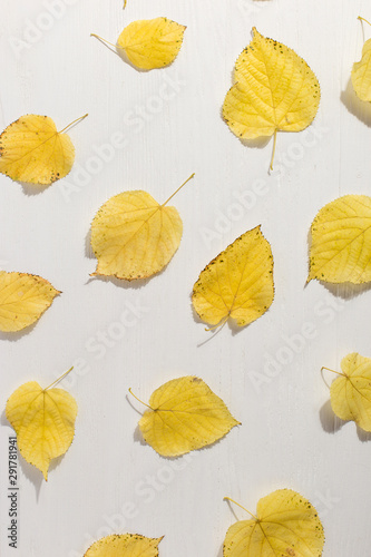 Dry yellow leaves background, pattern, flat lay.