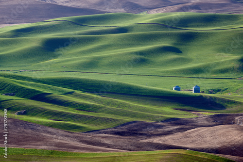 Sunset view of the spring fields in the Palouse Hills region of Washington state.