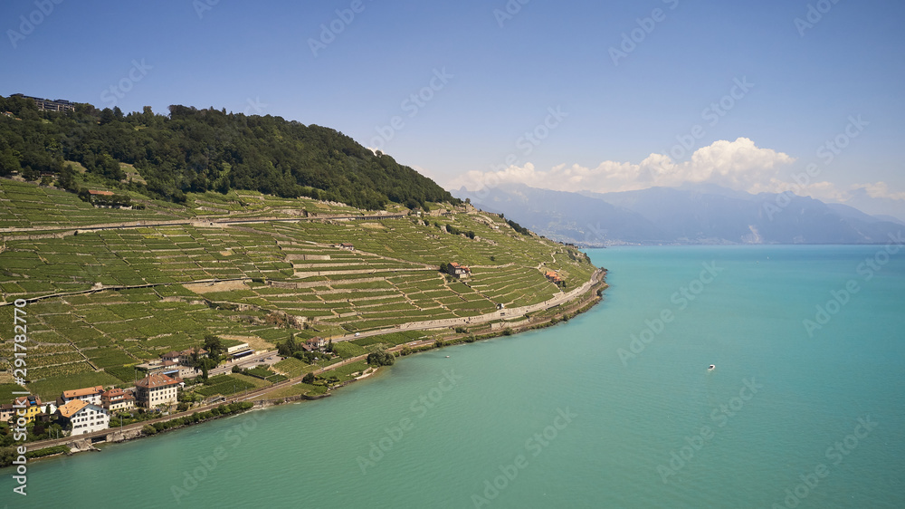 Obraz premium vine terraces lavaux aerial view