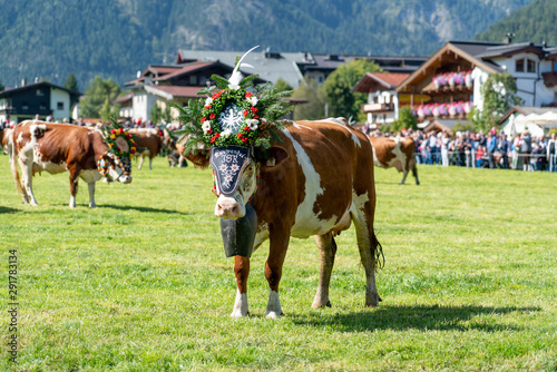 Almabtrieb der Kühe in Pertisau
