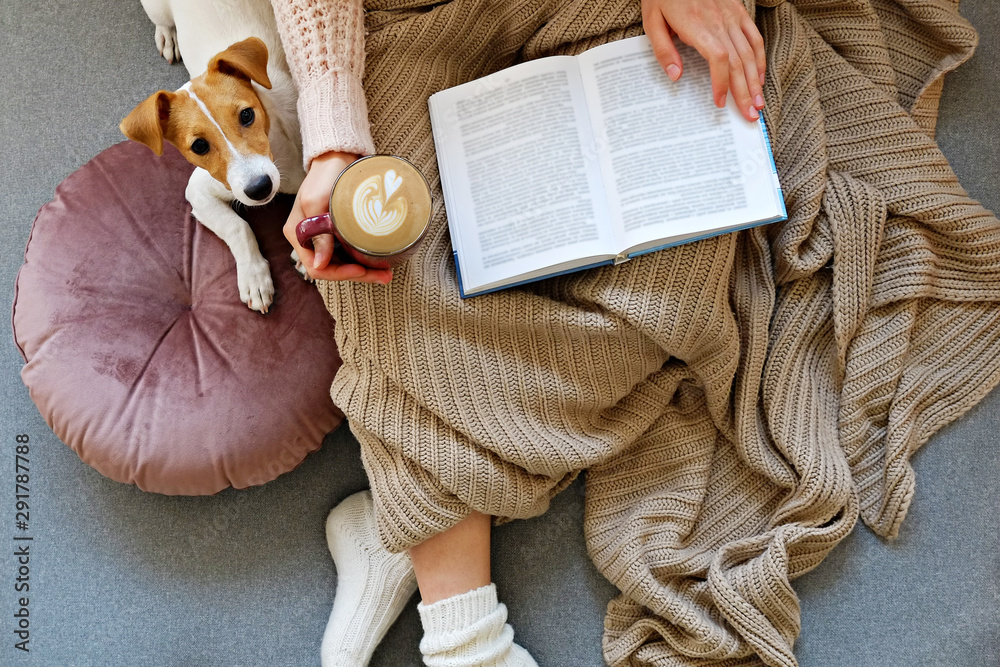 Young woman and her adorable jack russell terrier puppy sitting on couch cozied up, covered with blanket. Lazy afternoon at home with loved pet concept. Close up, copy space, interior background. - obrazy, fototapety, plakaty 