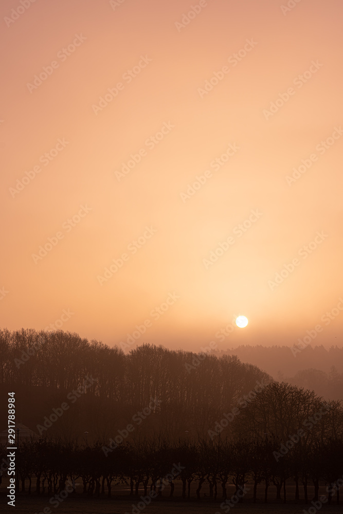 Fototapeta premium Orange and foggy sunrise over a park.