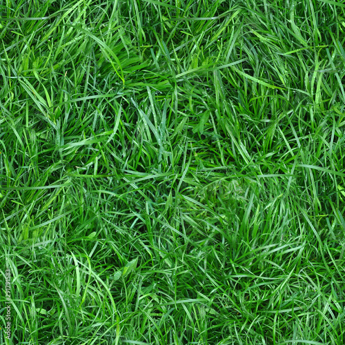 Seamless pattern of green field wet grass