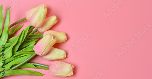 Fototapeta Naklejka Na Ścianę i Meble -  Tulips on a pink background. women's Day. Copy space. Greeting card, invitation, banner.
