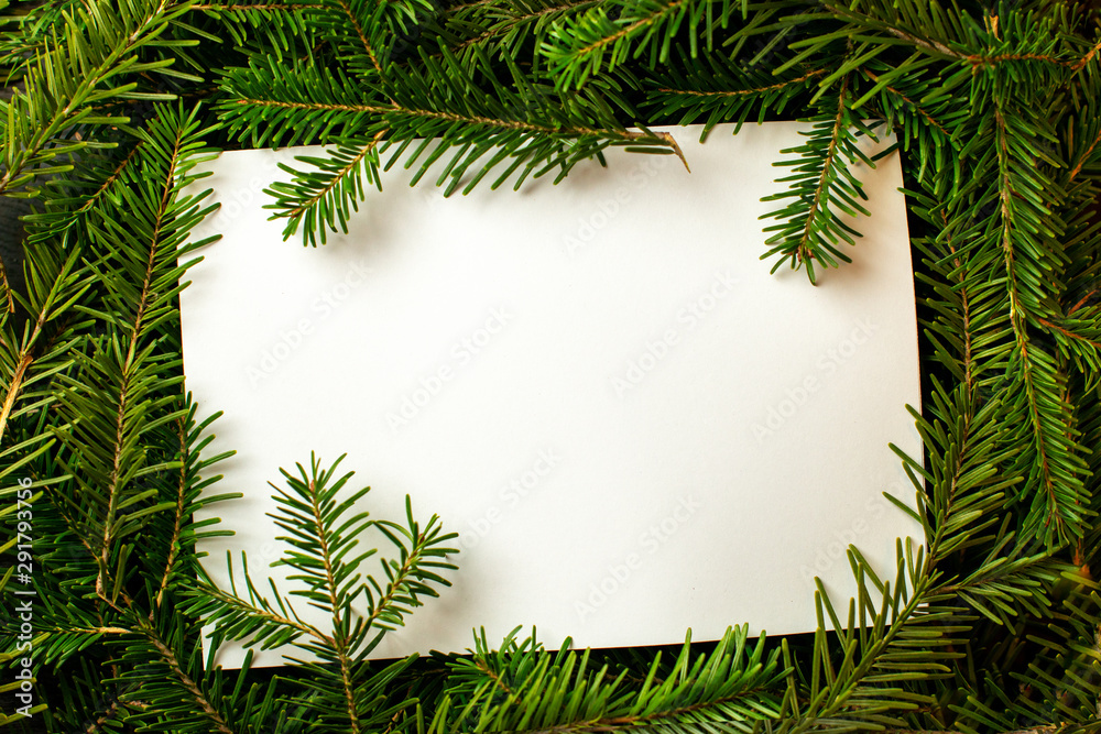 Blank card on fir tree branches, top view. Space for text .