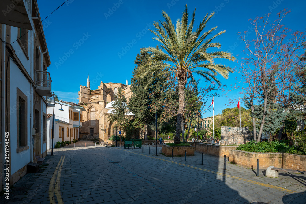 Street with palm in nicosia