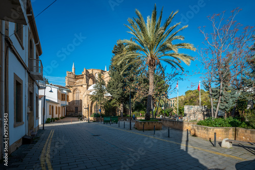 Street with palm in nicosia